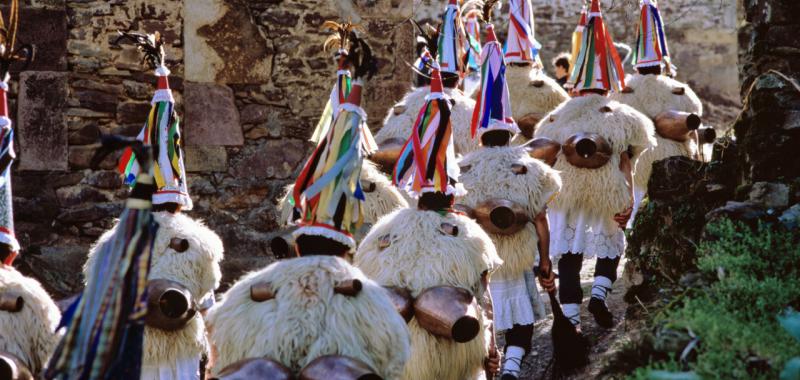 Carnavales en Navarra